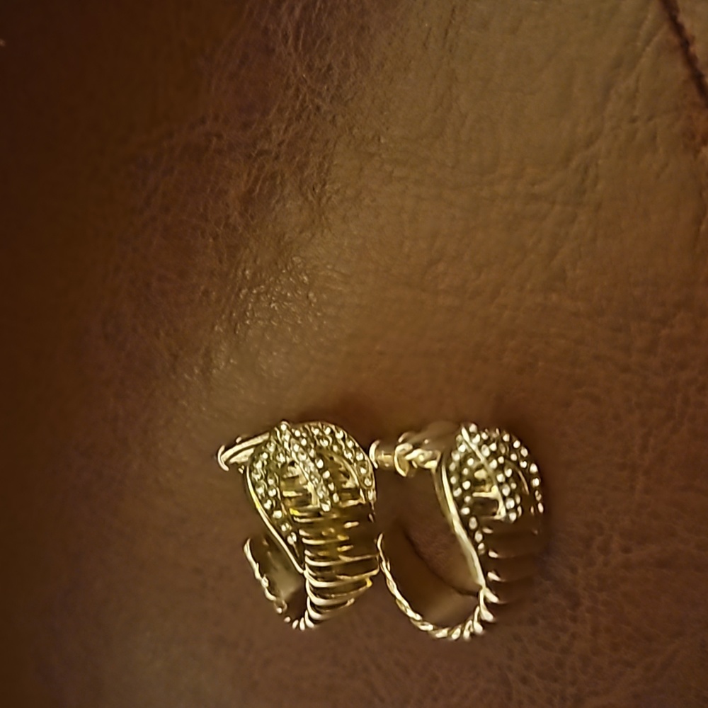 Earrings - Picture 4 of 6